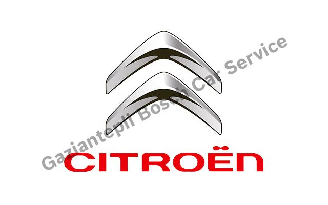 Bahçelievler Citroen Servisi